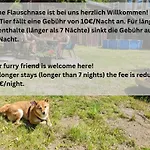 Urlaubsmagie - Himmelblau - Balkon, Gemeinschaftsgarten, Sauna Und Saisonaler Pool * Sebnitz