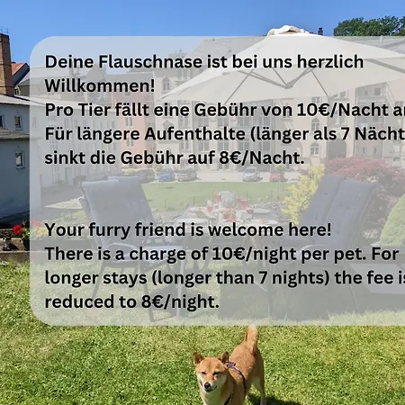 Urlaubsmagie - Himmelblau - Balkon, Gemeinschaftsgarten, Sauna Und Saisonaler Pool * Sebnitz
