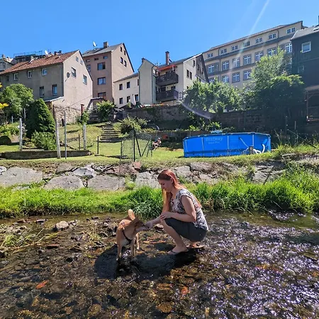 Urlaubsmagie - Himmelblau - Balkon, Gemeinschaftsgarten, Sauna Und Saisonaler Pool - Hw2b Sebnitz